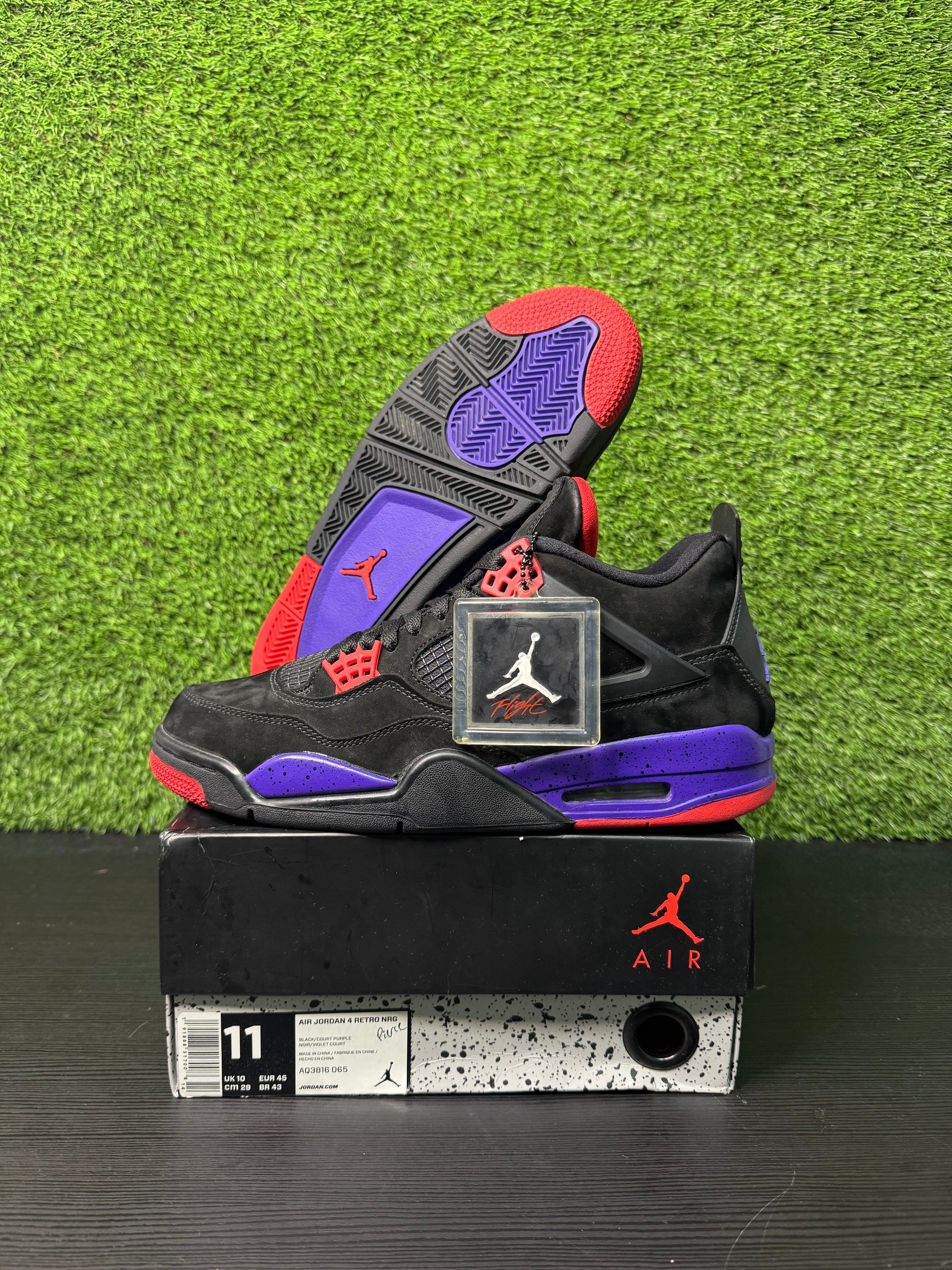 Jordan 4 Retro Raptor