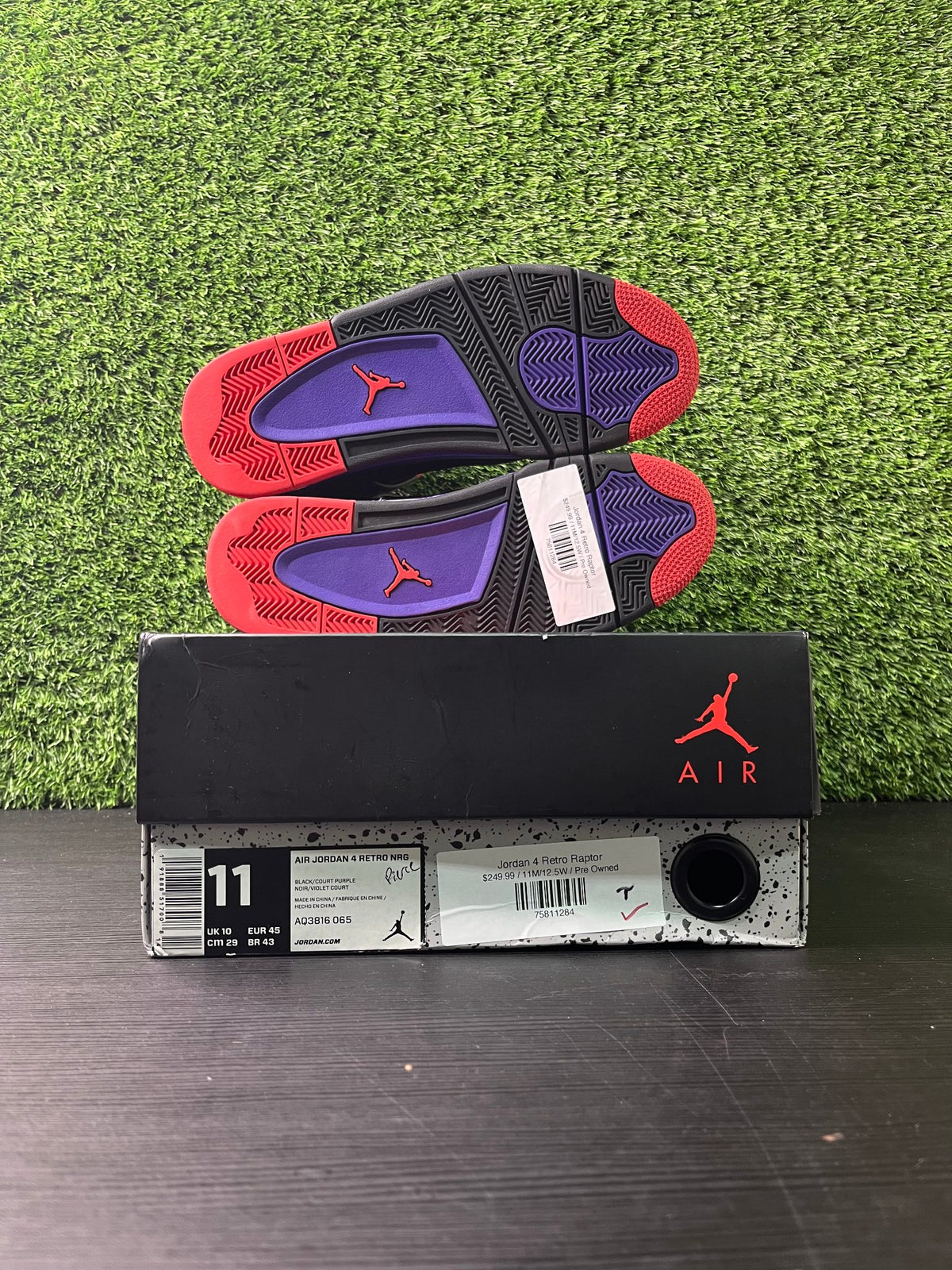 Jordan 4 Retro Raptor