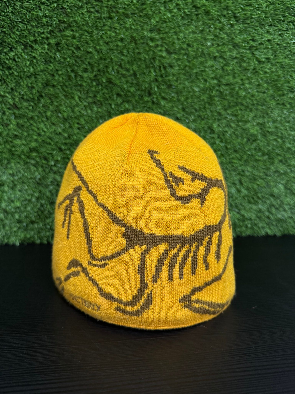 Arc'teryx Bird Head Toque Beanie