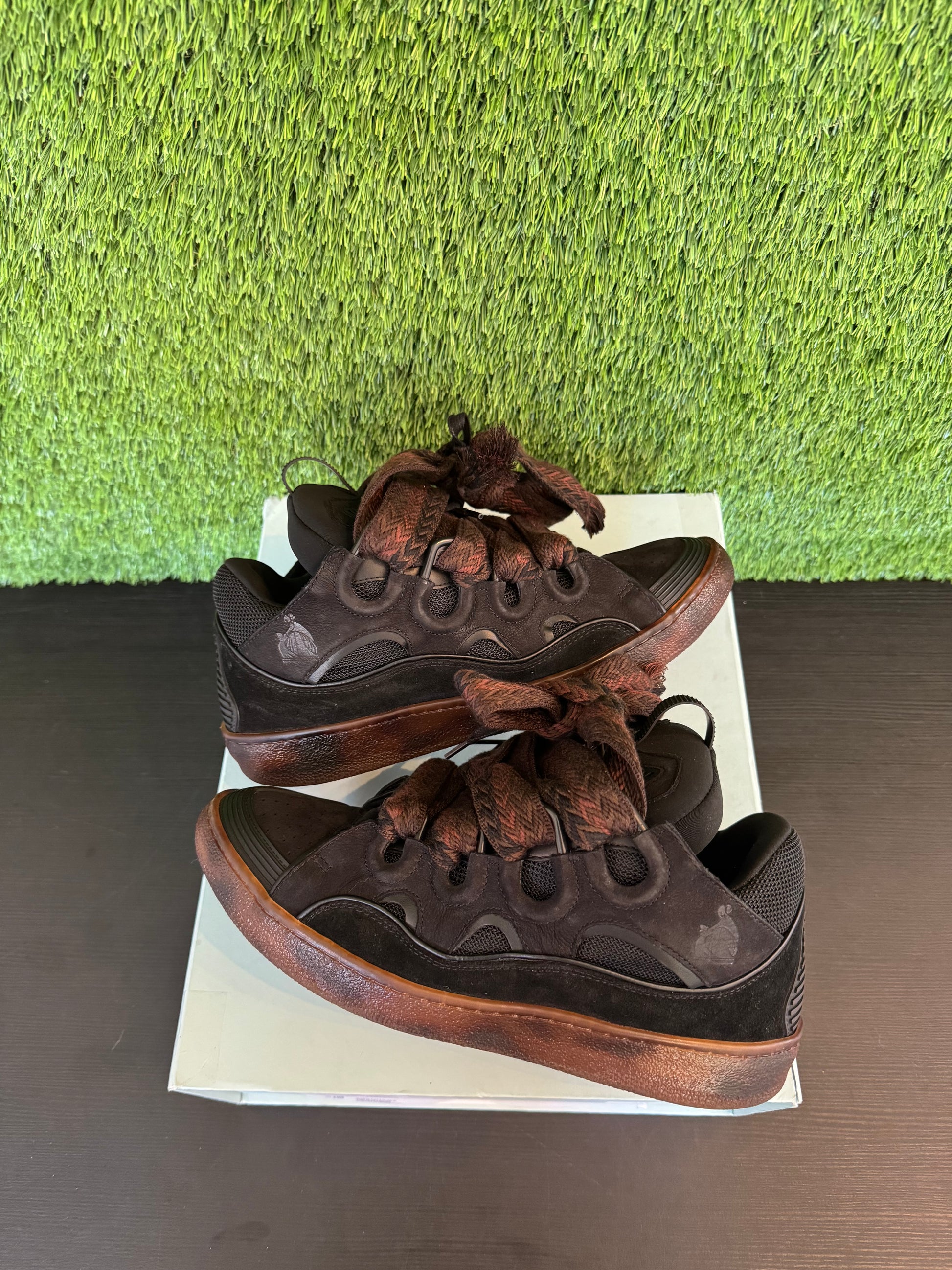 Lanvin Curb Dark Brown (Women's)