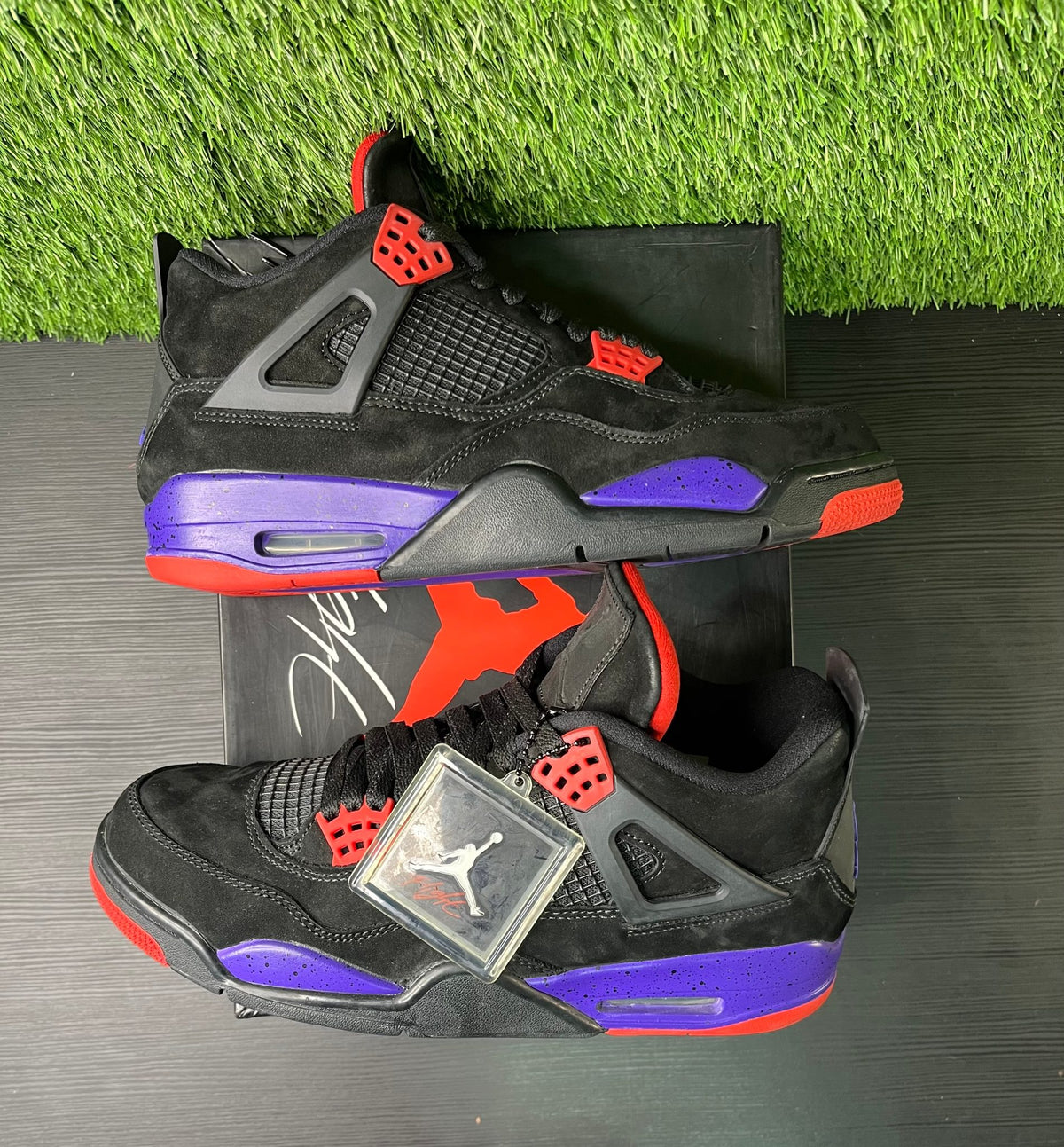 Jordan 4 Retro Raptor