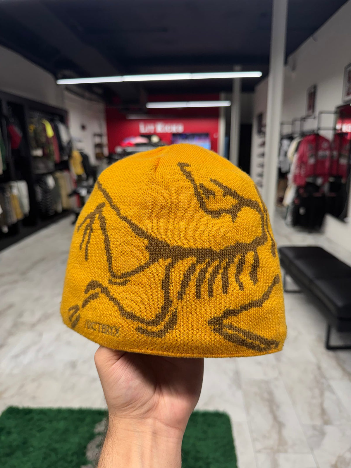 Arc'teryx Bird Head Toque Beanie