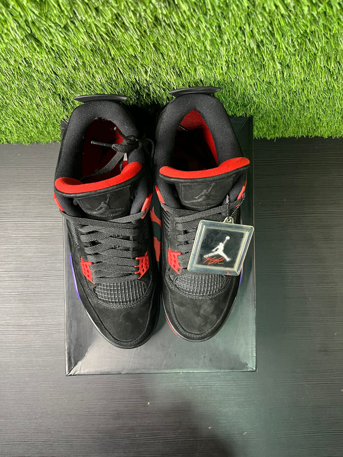 Jordan 4 Retro Raptor