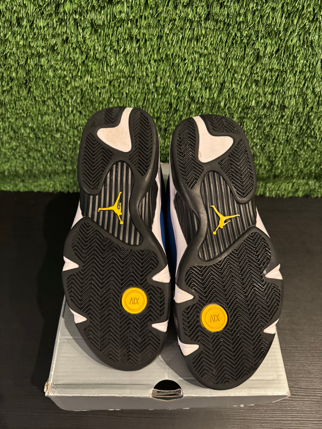 Jordan 14 Laney