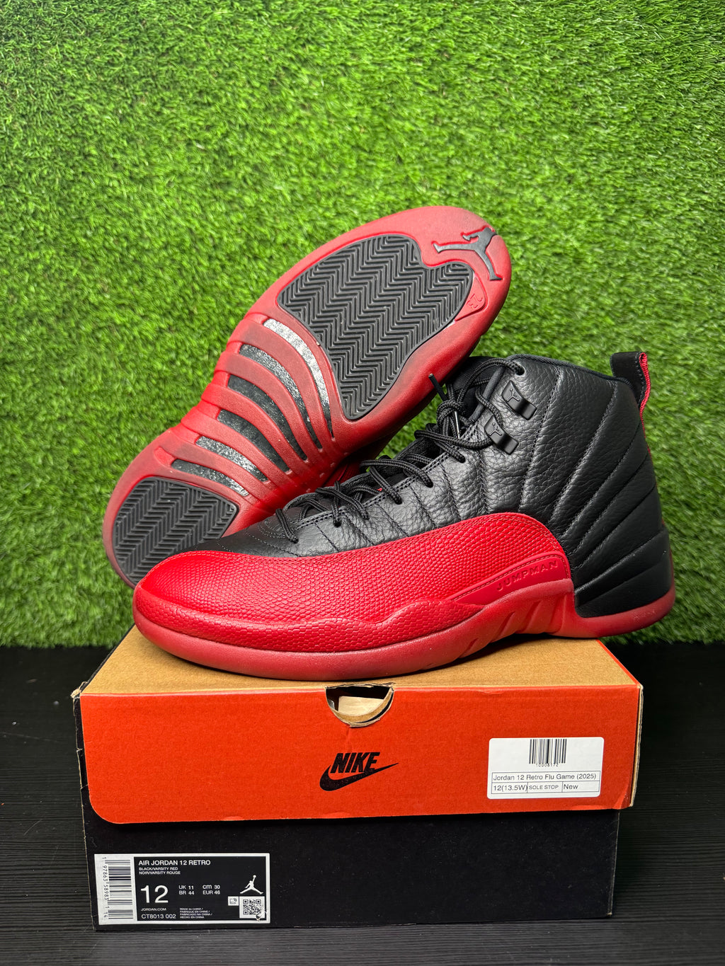 Jordan retro 12 flu game
