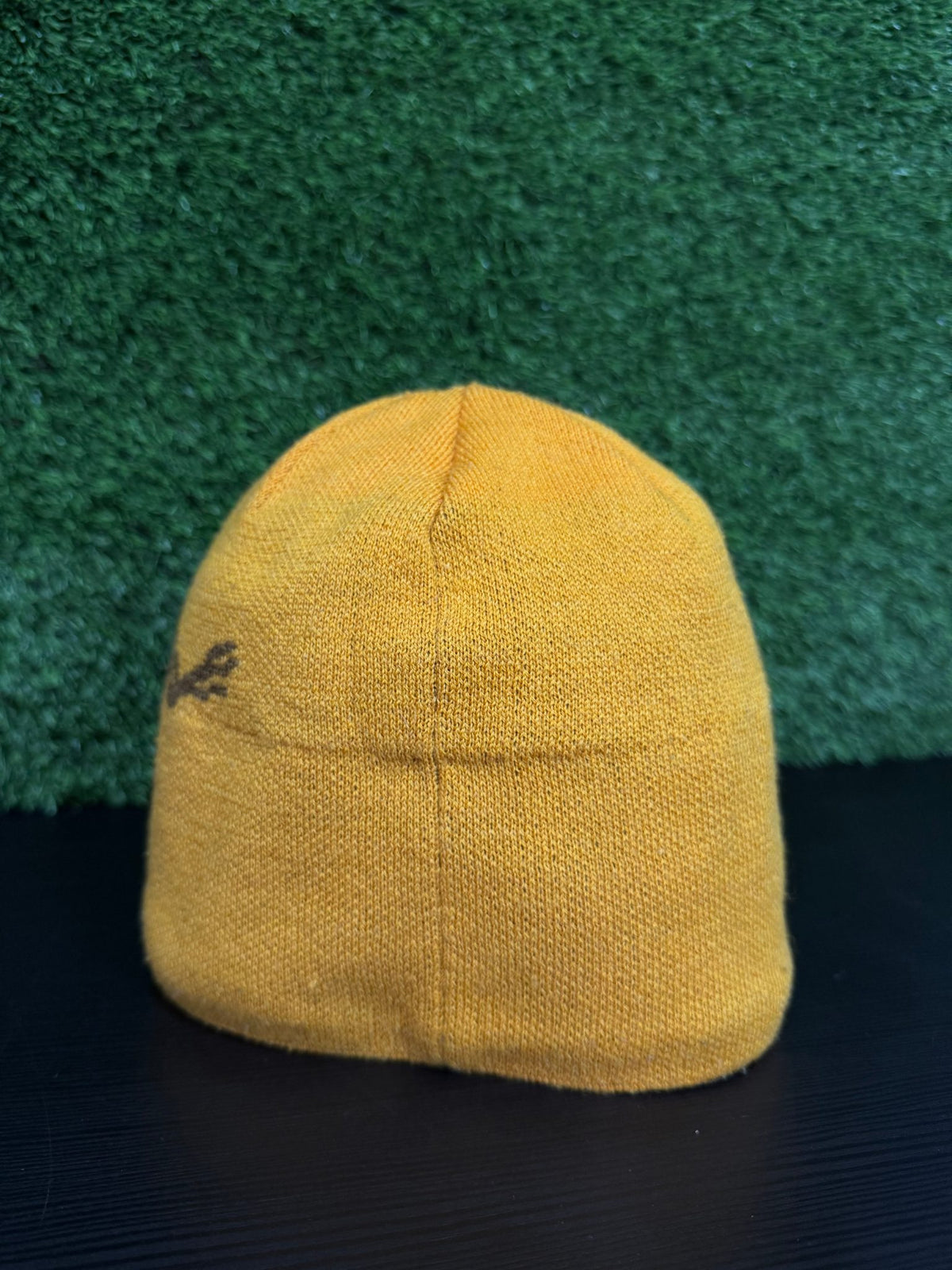 Arc'teryx Bird Head Toque Beanie