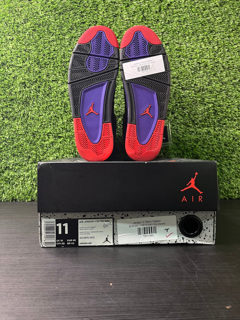 Jordan 4 Retro Raptor