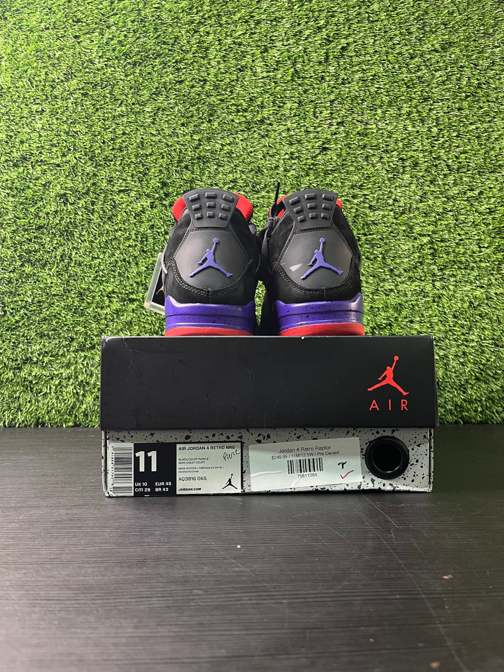 Jordan 4 Retro Raptor