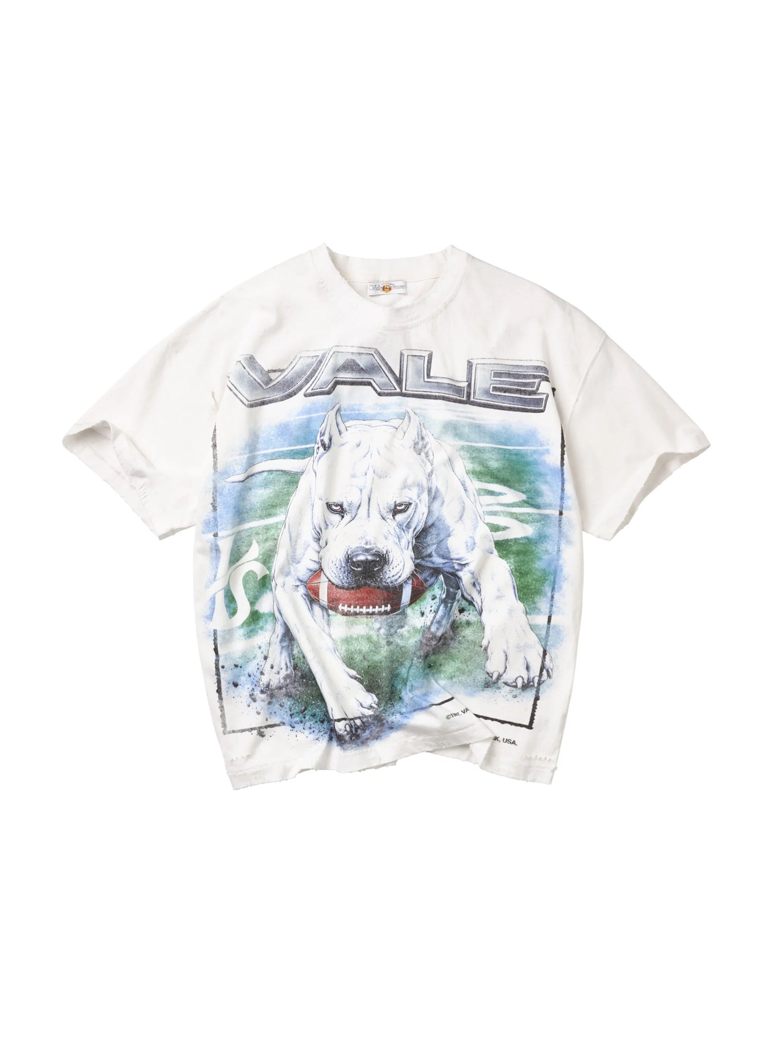Vale forever cane tee