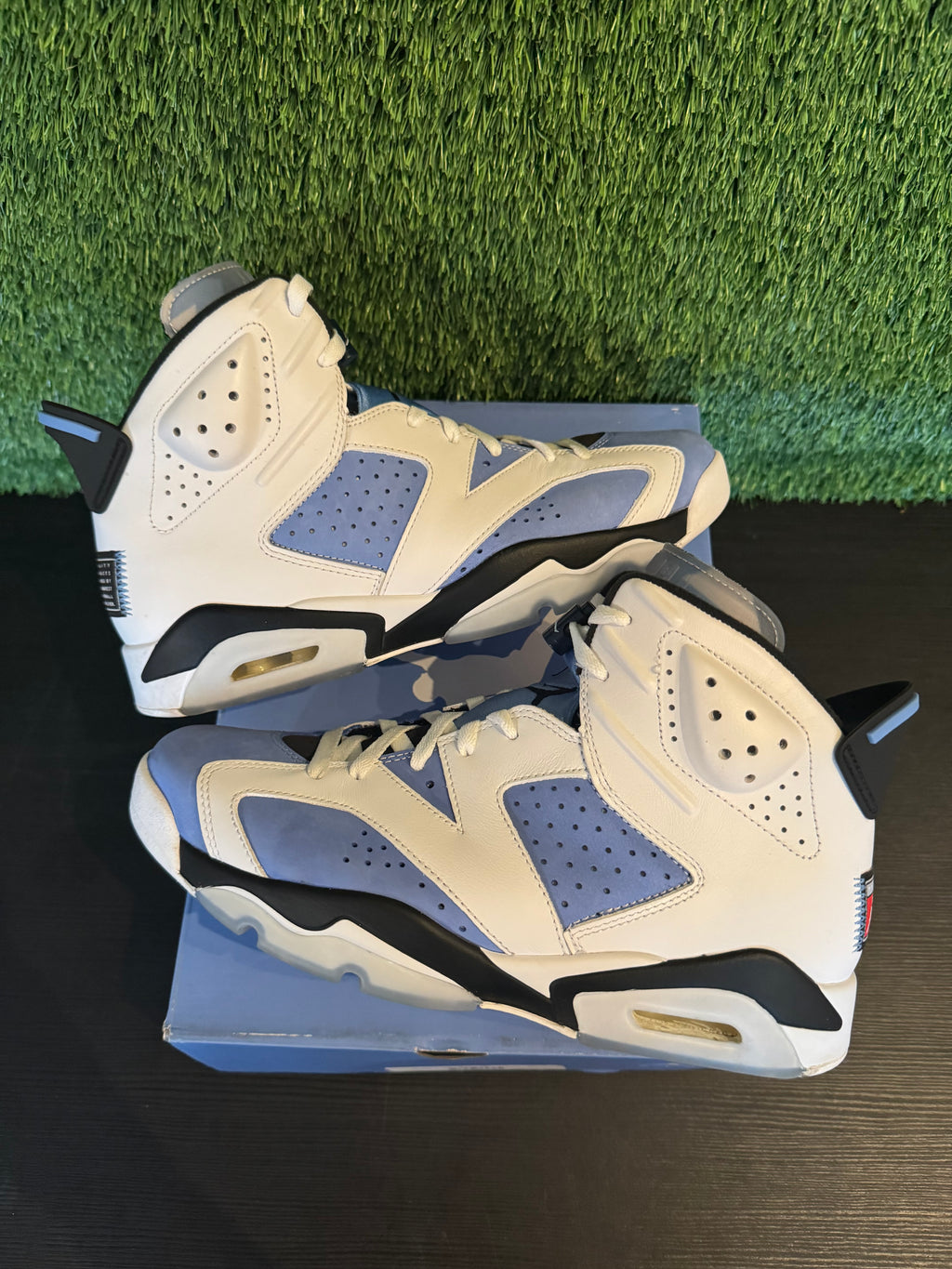 Jordan 6 UNC
