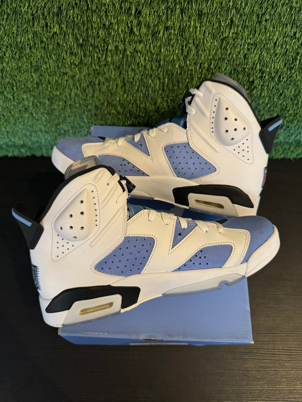 Jordan 6 UNC