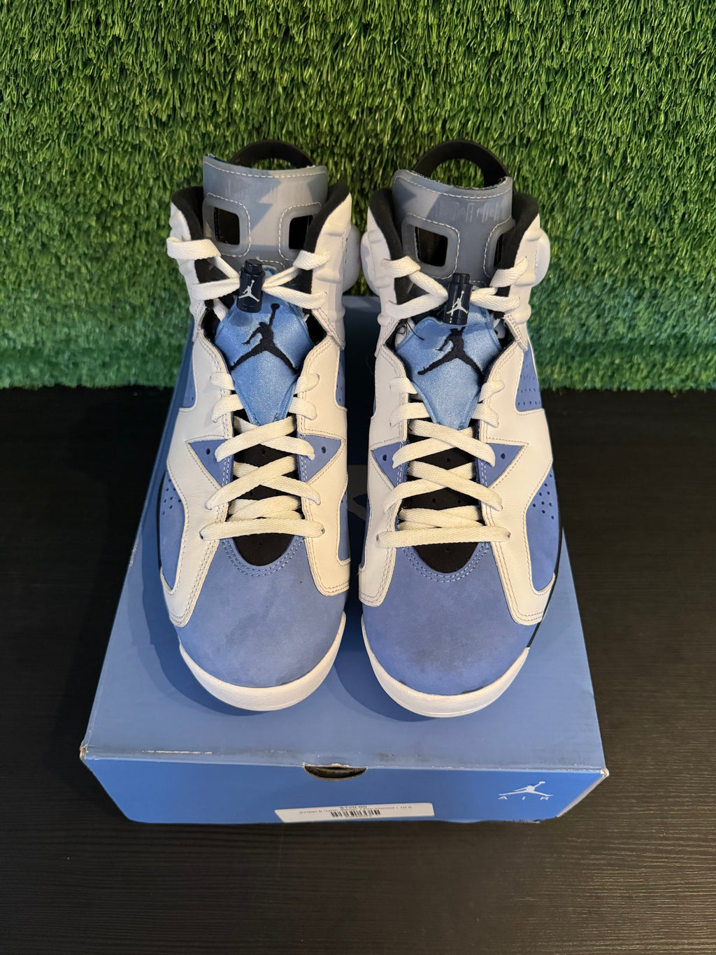 Jordan 6 UNC