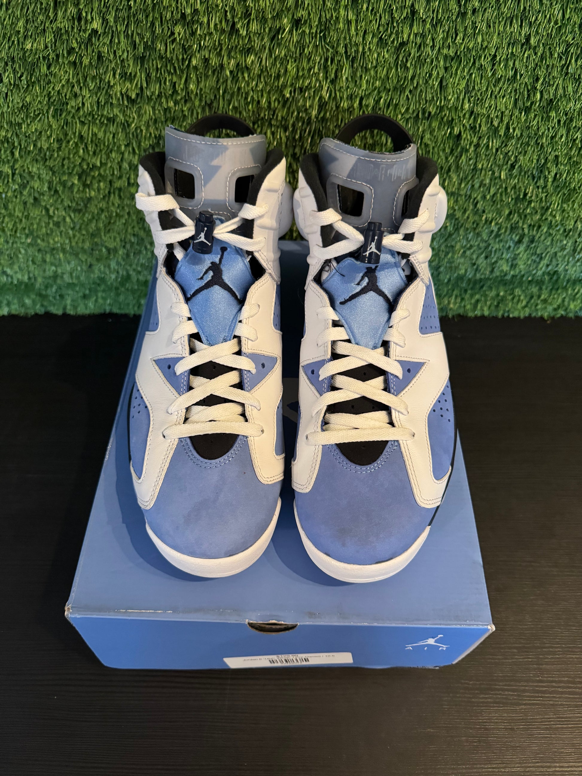 Jordan 6 UNC
