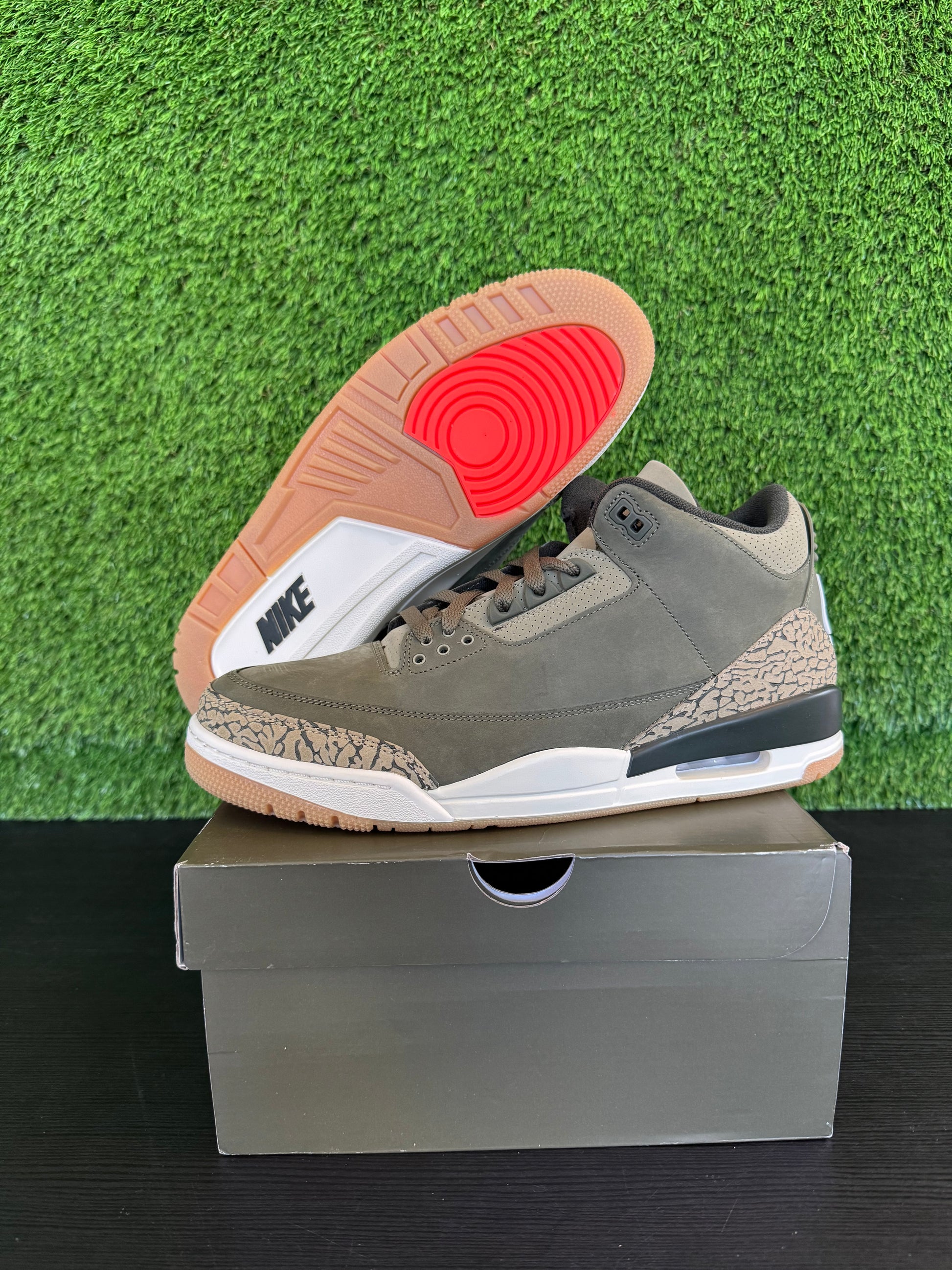 Jordan 3 Family Affairs
