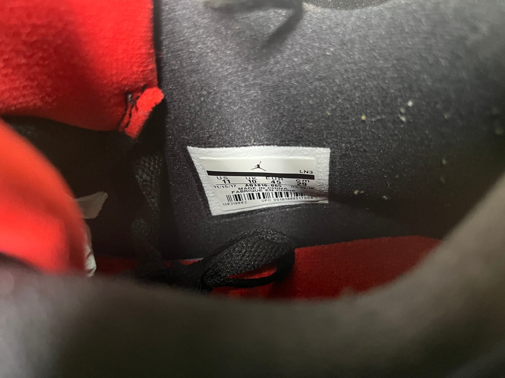 Jordan 4 Retro Raptor