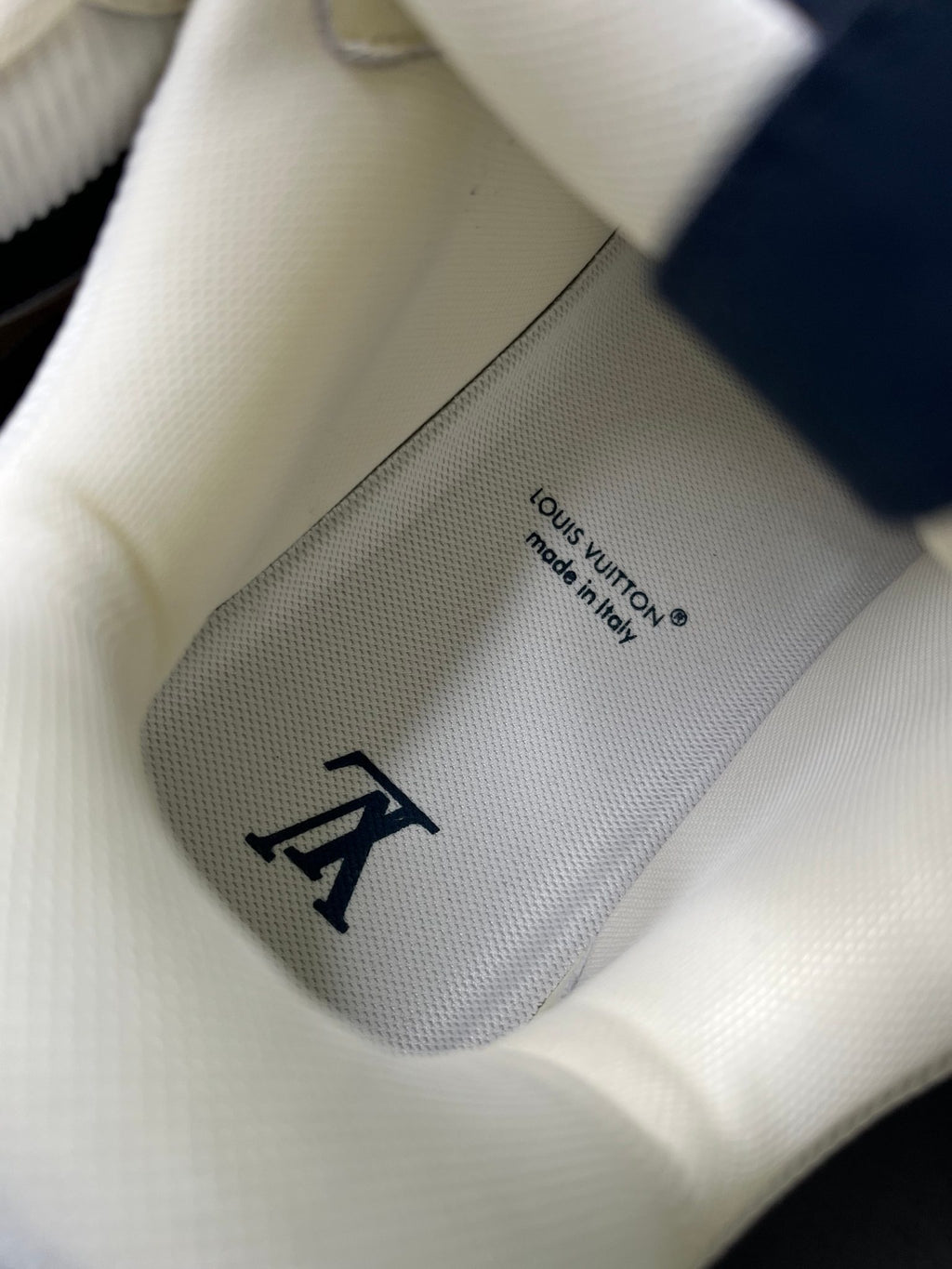 Louis Vuitton LV Navy Skate Sneaker