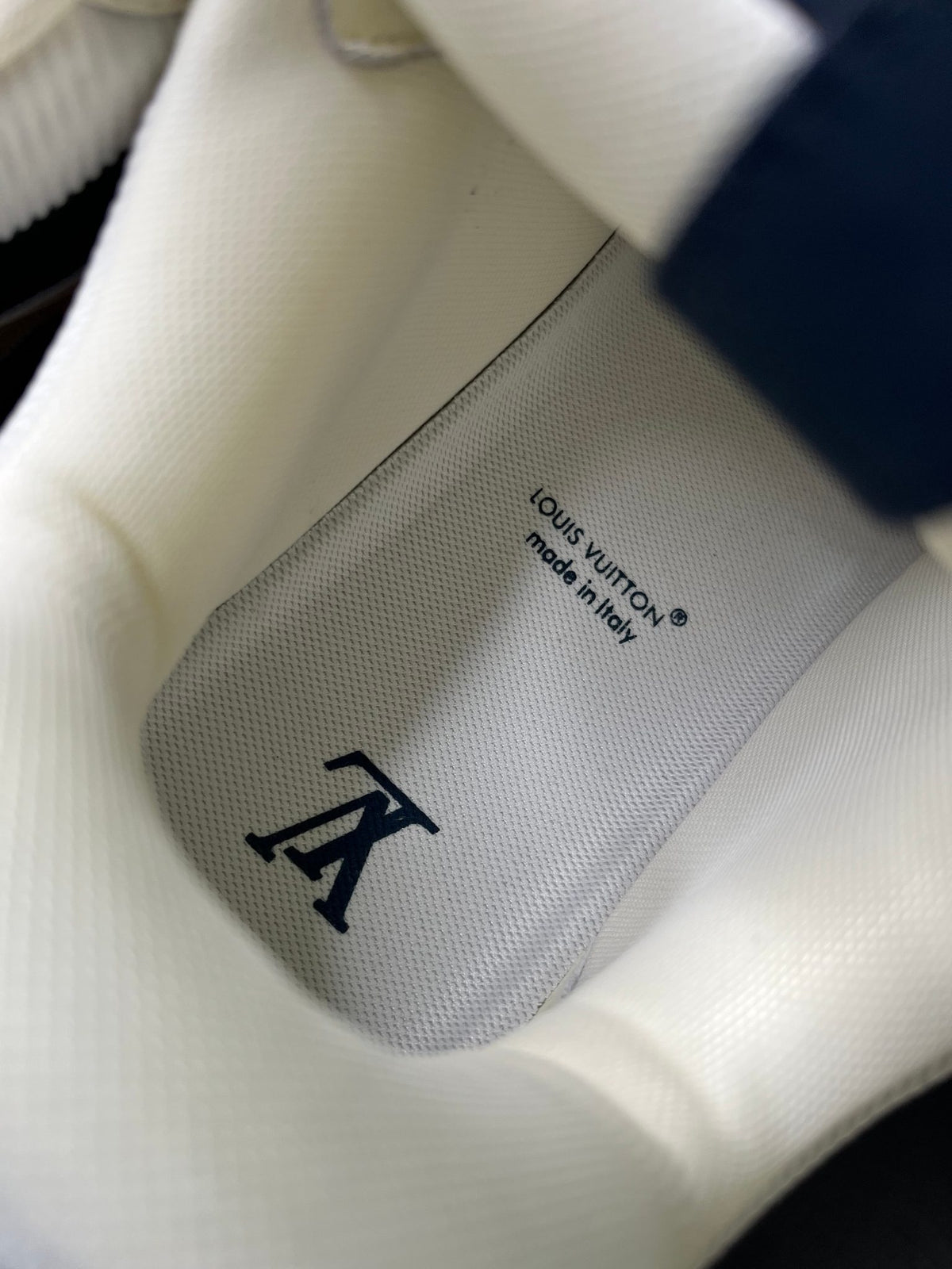 Louis Vuitton LV Navy Skate Sneaker