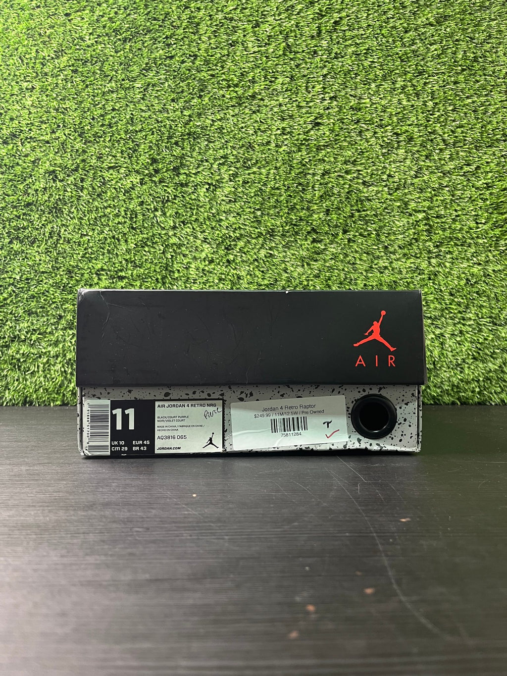 Jordan 4 Retro Raptor