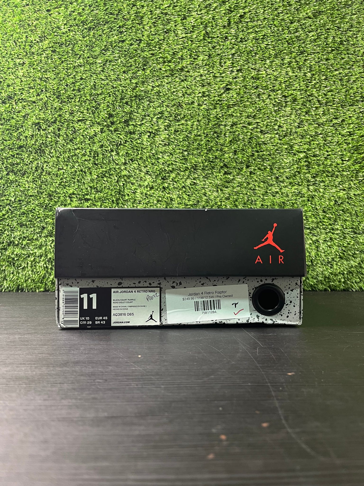 Jordan 4 Retro Raptor