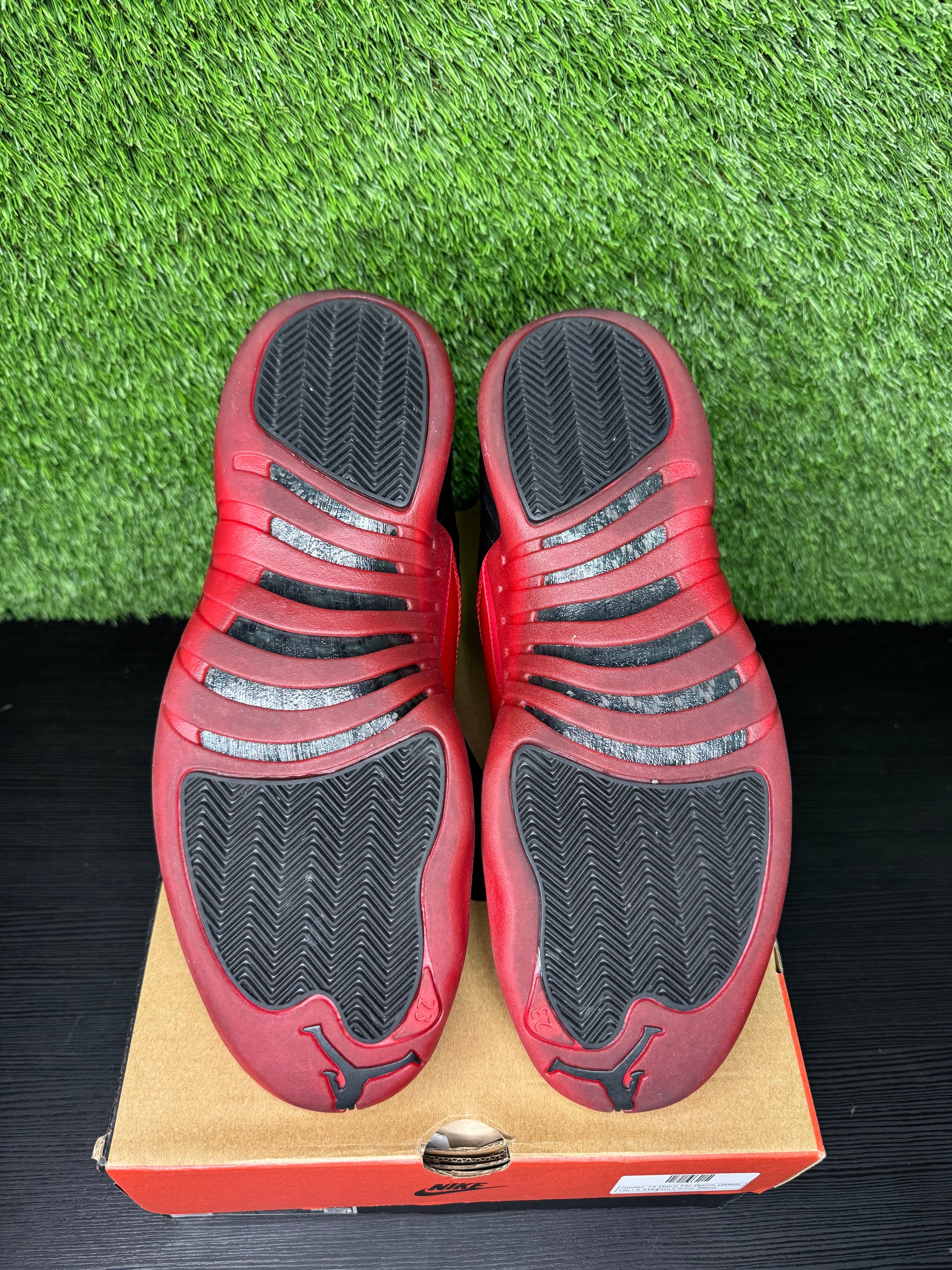 Jordan retro 12 flu game
